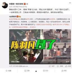 新乡记者爆料事件视频播放,视频揭露惊人真相  第3张