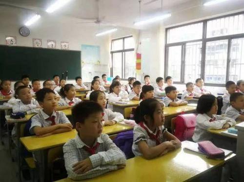 慈溪小学爆料新闻最新,校园事件引发社会关注  第2张