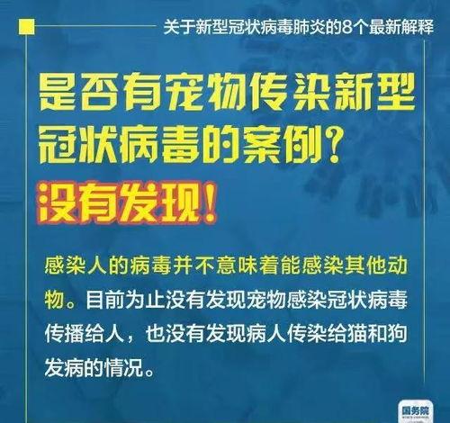 热线爆料解说文案大全最新,最新文案大全背后的故事与启示