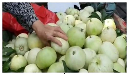 甜瓜概念爆料视频大全,揭秘热门甜瓜背后的故事 第2张 甜瓜概念爆料视频大全,揭秘热门甜瓜背后的故事 第2张